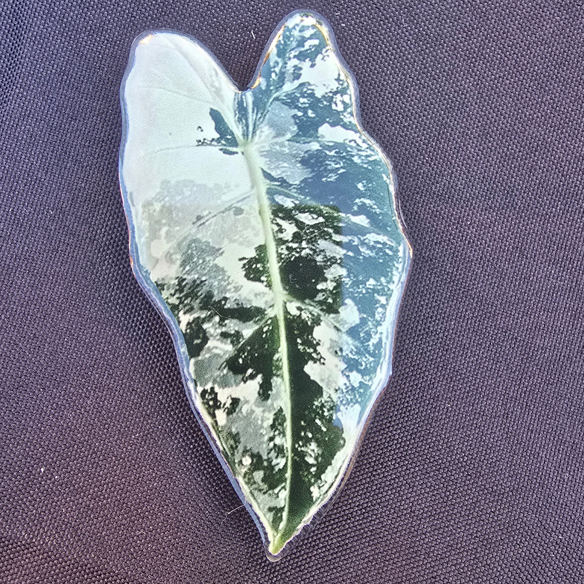 Support de téléphone feuille verte foncé et clair